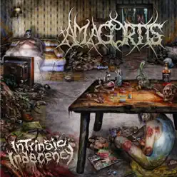 Intrinsic Indecency - Amagortis