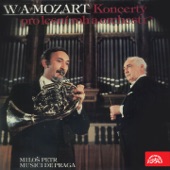 Horn Concerto No. 1 in D Major, K. 412: II. Rondo. Allegro (Completed by Franz Xaver Süssmay) artwork