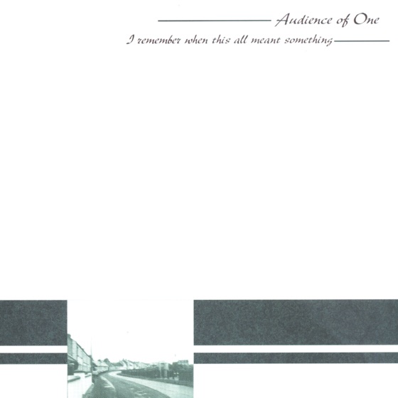 Cover artwork for I Remember When This All Meant Something
