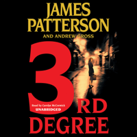 James Patterson & Andrew Gross - 3rd Degree artwork