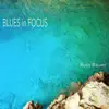 Blues in Focus (Instrumental) - Single album lyrics, reviews, download