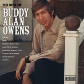 Buddy Alan Owens - Too Old to Cut the Mustard