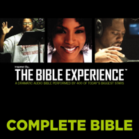 Zondervan - Inspired By … The Bible Experience Audio Bible - Today's New International Version, TNIV: Complete Bible artwork