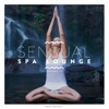 Sensual Spa Lounge, Vol. 14