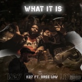 What It Is (feat. Dree Low) artwork