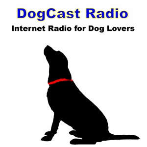 Episode 210 - Maisie the Double Merle and Cody's Comforts