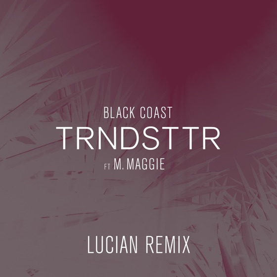 Cover artwork for Trndsttr (feat. M. Maggie)