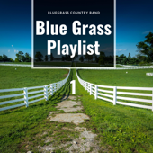 Blue Grass Playlist 1 - Bluegrass Country Band