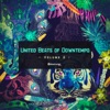 United Beats of Downtempo, Vol. 2, 2020