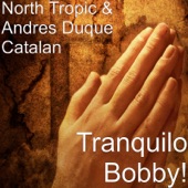 Tranquilo Bobby! artwork