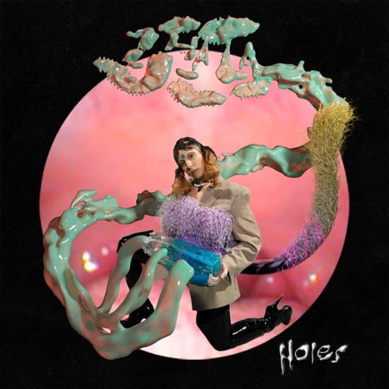 Cover artwork for Holes