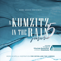 Junior - A Kumzitz in the Rain 5 artwork