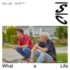 What a life by EXO-SC iTunes Track 1