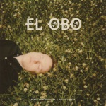 El Obo - You're Gone