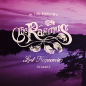 In the Shadows (Lost Frequencies Remake) - EP artwork