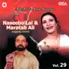 Ape Pata Lag Jaooga, Vol. 29 album lyrics, reviews, download