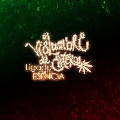 Ligado Con Tu Esencia - El Vislumbre del Esteko