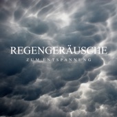 Regengeräusche zum Entspannung artwork