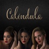 Caléndula - Y Si Tu Me Quieres