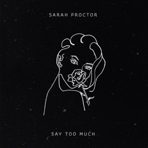 Say Too Much - Single