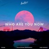 Who Are You Now - Single