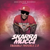Trouble Trouble 2.0 artwork