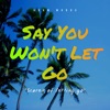 Say You Won't Let Go (Scared of Letting Go) by Adam Woods iTunes Track 1