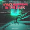 What Happens in the Dark - Single, 2023