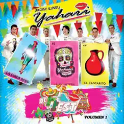 De Fiesta Volumen 1 by Yahari album reviews, ratings, credits