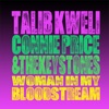 Woman In My Bloodstream (feat. Talib Kweli & Nini Monroe) - Single