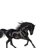 Old Town Road artwork