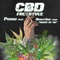 CBD freestyle (feat. Snaffone) - Posku lyrics