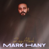 Zay Albek (feat. Fady Haroun) artwork