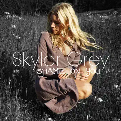 Shame on You - Single - Skylar Grey