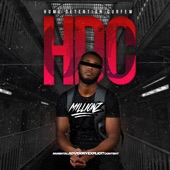 Hdc artwork