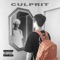 Culprit (feat. Burberry Rem) - Zeuz Music lyrics