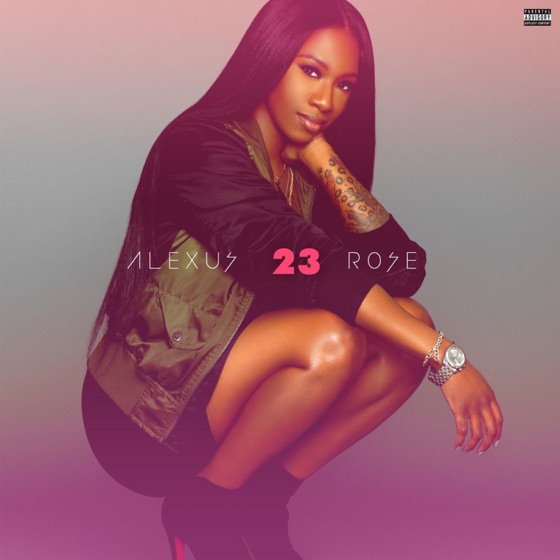 Cover artwork for Aint Rocking