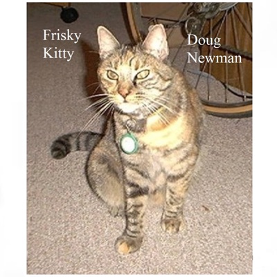 Frisky Cat