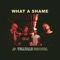 What a Shame - Telltale lyrics