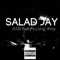 Pocket Watch - Salad Jay lyrics