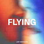 Last Dinosaurs - Flying