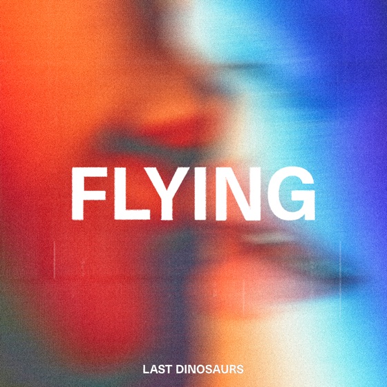 Cover artwork for Flying