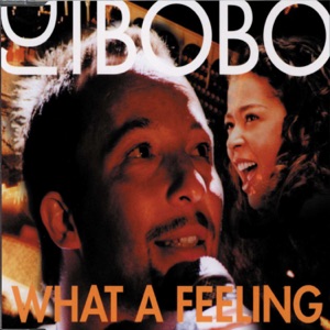 DJ Bobo & Irene Cara - What a Feeling - 排舞 音樂
