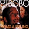 What a Feeling (U-Max Club Mix) - DJ Bobo & Irene Cara lyrics