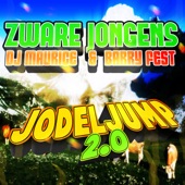 Jodeljump 2.0 (Radio Edit) artwork