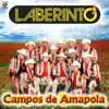 Campos De Amapola album lyrics, reviews, download