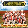 Campos De Amapola