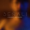 Señal 1 - Single