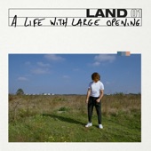 Land (A Life with Large Opening) artwork