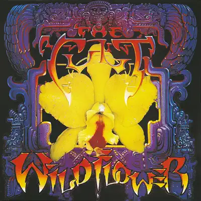 Wild Flower - EP - The Cult